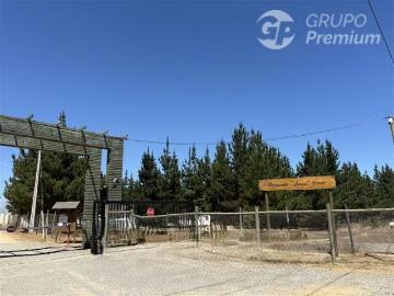 Lotes y Terrenos El Quisco | venta | Parcela en venta en El Quisco: CLP 75000. 00
