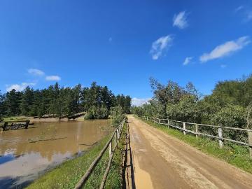 Lotes y Terrenos El Quisco | venta | Parcelas planas en condominio, red de agua, luz y portería: CLP 79900. 00