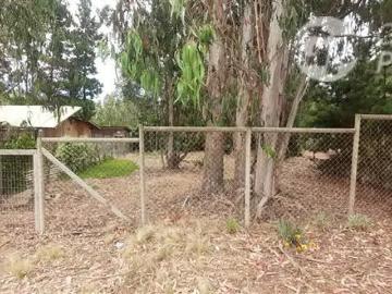 Lotes y Terrenos El Quisco | venta | Sitio en venta en El Quisco: CLP 58500. 00