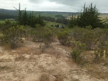 Lotes y Terrenos El Tabo | venta | Insuperable Oportunidad Terreno en la Playa: CLF 15000. 00