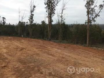 Lotes y Terrenos El Tabo | venta | Sitio en el tabo: CLP 11900. 00