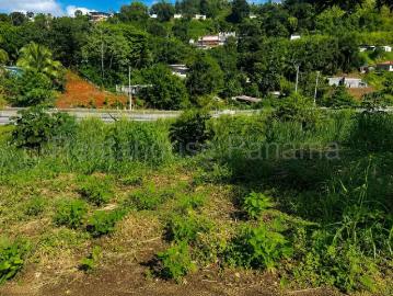 Lotes y Terrenos en Avenida Balboa | venta | de Terreno en Villa Lucre: USD 990000.00