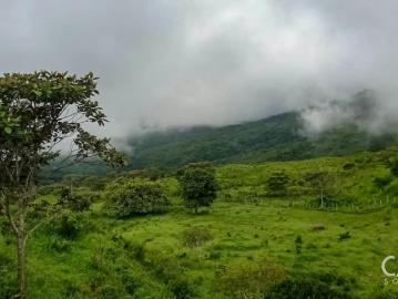 Lotes y Terrenos en Caldera | venta | 11 Hectáreas De Terreno En Venta En Caldera Boquete: USD 200000.00
