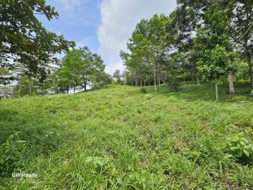 Lotes y Terrenos en Cirí Grande | venta | de Terreno Ciri Grande Ciricito Arriba Capira: USD 192500.00