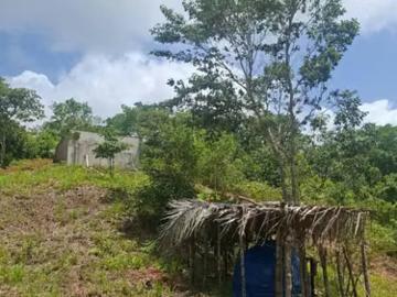 Lotes y Terrenos en Coclé | venta | ¡Gran Oportunidad de Inversión! Finca Agropecuaria y Porcina en Penonomé: USD 135000.00