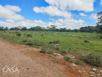 Lotes y Terrenos en Dolega | venta | Amplio Terreno Plano Bien Cercado En venta con arroyo En Dolega: USD 225000.00