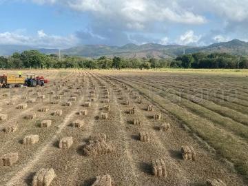 Lotes y Terrenos en Las Margaritas | venta | LGU Venta de finca en Las Margaritas de Chepo. USD 2500. 00