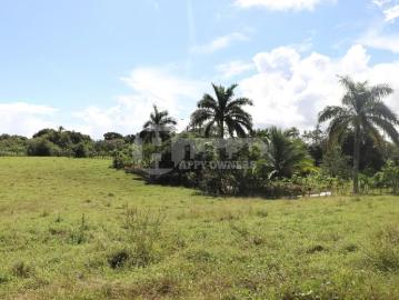 Lotes y terrenos en pocrí | venta | de lote de playa – linda vista, pocrí: usd 25000.00
