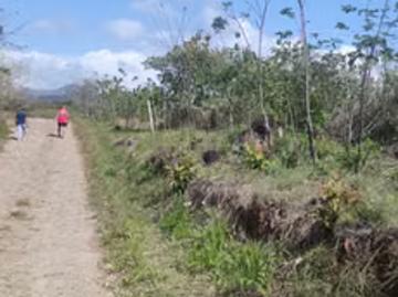 Lotes y Terrenos en Río Hato | venta | CG Venta De terrenos cerca a playa blanca resort: USD 26000.00