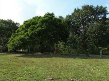 Lotes y Terrenos en Sajalices | venta | de terreno campestre en el Espavé, Chame: USD 149000.00