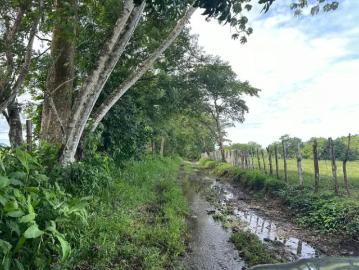 Lotes y Terrenos en San Félix | venta | Finca en Chiriqui, San Félix 12.1 hectáreas, Las Lajas: USD 244000.00