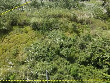 Lotes y Terrenos en San Juan | venta | de Terreno en Isla Verde, Colón, 4,041m2: USD 65000.00