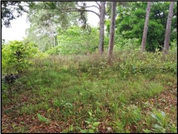 Lotes y terrenos en toabré | venta | se vende finca en toabré penonomé: USD 481000.00