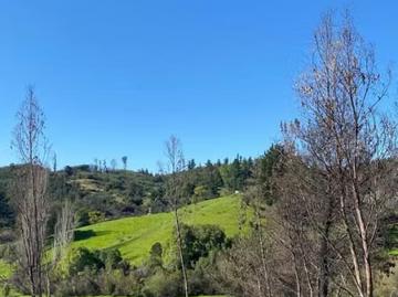 Lotes y Terrenos Florida | venta | Parcelas Concepcion Florida: CLP 25000. 00