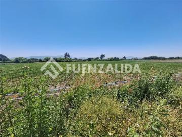 Lotes y Terrenos Isla de Maipo | venta | Sitio en venta en Isla de Maipo: CLF 3250.00