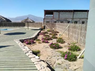Lotes y Terrenos La Higuera | venta | PARCELA Las Bandurrias/Los Pequeñes: CLF 8065.00