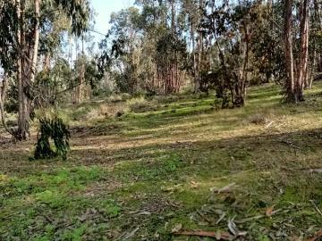 Lotes y terrenos la ligua | venta | parcela huaquen v region: clp 40000. 00