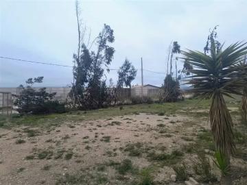 Lotes y Terrenos La Serena | venta | PARCELA En Venta Parcela de Agrado de 5.258m2 en La Serena: CLP 120000. 00