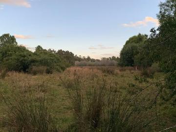 Lotes y terrenos la unión | venta | vende campo 16,58 ha, la union: clp 780000. 00