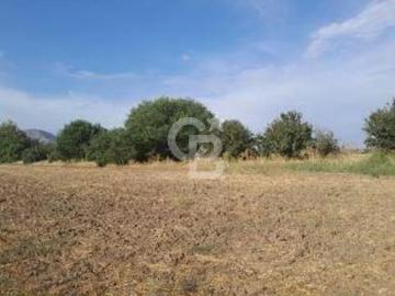 Lotes y Terrenos Lampa | venta | Lampa Terreno para destino Inmobiliario: CLF 99300.00