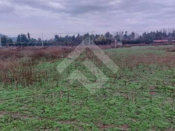 Lotes y Terrenos Lampa | venta | Parcela en venta en Lampa 5.000 m2: CLP 250000. 00