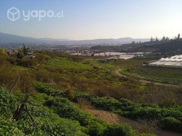 Lotes y Terrenos Limache | venta | De TerrenoSector Los Maitenes, Limache: CLF 4000.00