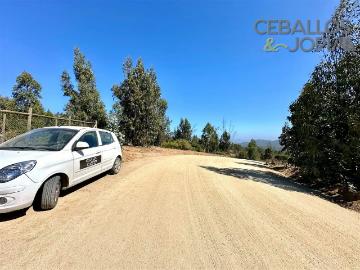 Lotes y Terrenos Limache | venta | PARCELA Condominio Valle Verde Mar, Limache: CLP 23000. 00