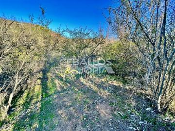 Lotes y Terrenos Limache | venta | PARCELA Limache: CLP 25000. 00