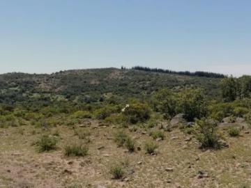 Lotes y Terrenos Lolol | venta | PARCELA Los Chacayes, Lolol: CLP 40000. 00