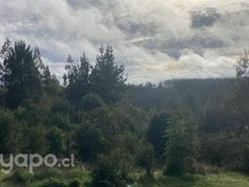 Lotes y Terrenos Los Álamos | venta | 5.0000 mts de terreno en Los Álamos: CLP 28000. 00