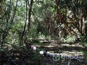 Lotes y Terrenos Los Álamos | venta | de Terreno 8 Hectareas: CLF 1780.00