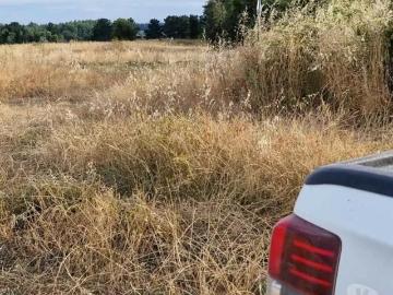 Lotes y Terrenos Los Ángeles | venta | Atención Inversionistas 23ha Terreno Agrícola Millantú: CLF 18500.00