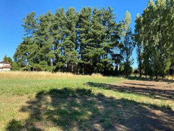 Lotes y Terrenos Los Ángeles | venta | Con acceso directo a nueva ruta Nahuelbuta 124295: CLP 63000. 00