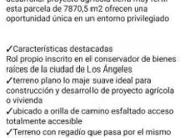 Lotes y Terrenos Los Ángeles | venta | de terreno ideal para agricultura y construc: CLP 36000. 00