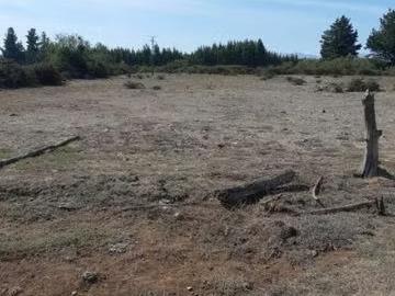 Lotes y Terrenos Los Ángeles | venta | Parcela de 12 hectáreas con 2 casas: CLP 276000. 00