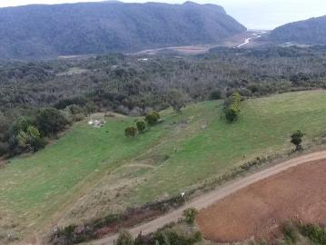 Lotes y Terrenos Los Muermos | venta | PARCELA Los Muermos / Estaquilla: CLP 15000. 00