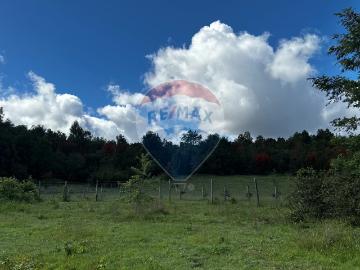 Lotes y Terrenos Pucón | venta | parcela pucon 5.000mts2 segunda faja: CLP 50000. 00