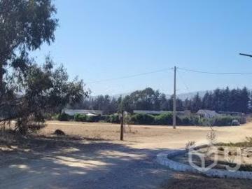 Lotes y Terrenos Puchuncaví | venta | Bosques de Quirilluca a 15 minutos de Maitencillo: CLP 45990. 00