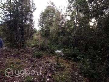 Lotes y Terrenos Puerto Montt | venta | Vendo parcela a 10 km de Puerto Montt: CLP 33000. 00