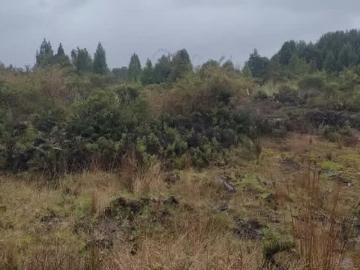 Lotes y Terrenos Puerto Montt | venta | Parcela en Maderos de Pto Varas IV: CLP 33000. 00