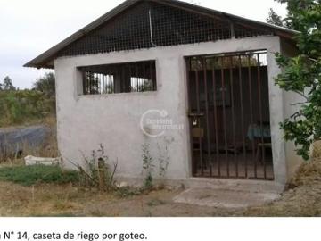 Lotes y Terrenos Punitaqui | venta | Agrícola en venta en Punitaqui: CLF 8000.00
