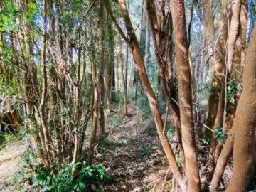 Lotes y Terrenos Puyehue | venta | Parcela Mantilhue Rio Bueno: CLP 42000. 00