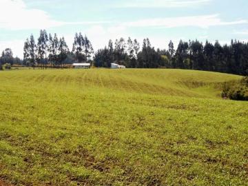 Lotes y terrenos padre las casas | venta | 5 hectáreas en maquehue 10 min de temuco ix región: clp 1000. 00