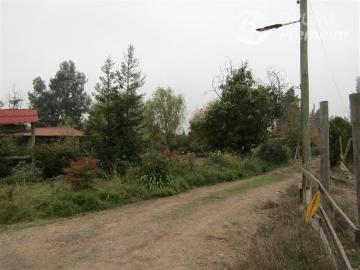 Lotes y Terrenos Paine | venta | en Paine terreno agrícola: 3,4 has 500 mt Ruta 5 Sur: CLF 27000.00