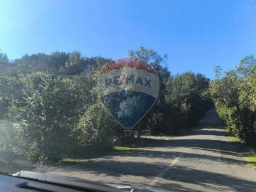 Lotes y Terrenos Paine | venta | Parcela de 5000 m2 en bosques de aculeo: CLP 59000. 00
