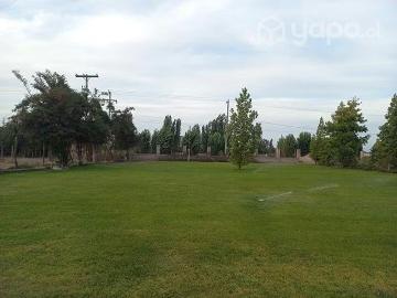 Lotes y Terrenos Peñaflor | venta | Parcela 5600 m2 Peñaflor: CLP 290000. 00