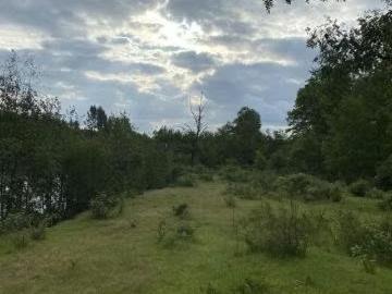 Lotes y Terrenos Peñalolén | venta | Parcela en Curacautin con orilla de rio: CLP 38000. 00