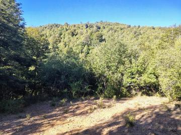 Lotes y terrenos pinto | venta | parcelas desde 5000 m2 cerca de nevados de chillán: clp 27500. 00