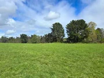 Lotes y Terrenos Pitrufquén | venta | Lindas Parcelas camino a Pitrufquén 165844: CLP 28500. 00