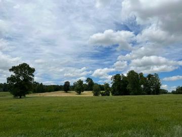 Lotes y Terrenos Pitrufquén | venta | Parcelas en venta a 20 minutos de Villarrica 160270: CLP 28500. 00